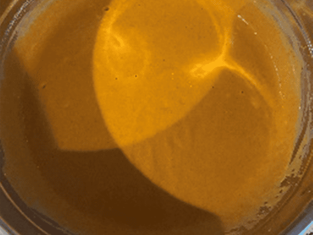 Chefstemp-make pumpkin pie