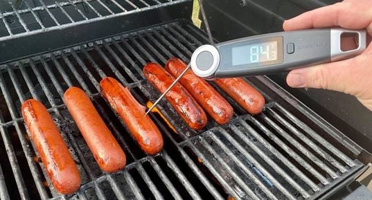 Beast Mode Seattle Dogs chefstemp 15