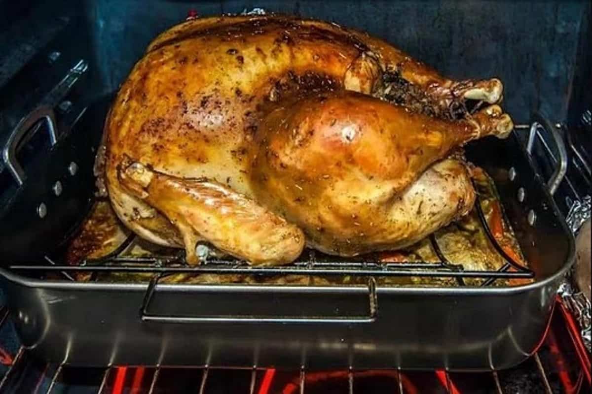 ideal position to put thermometer in turkey