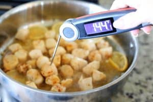 chefstemp meat thermometer