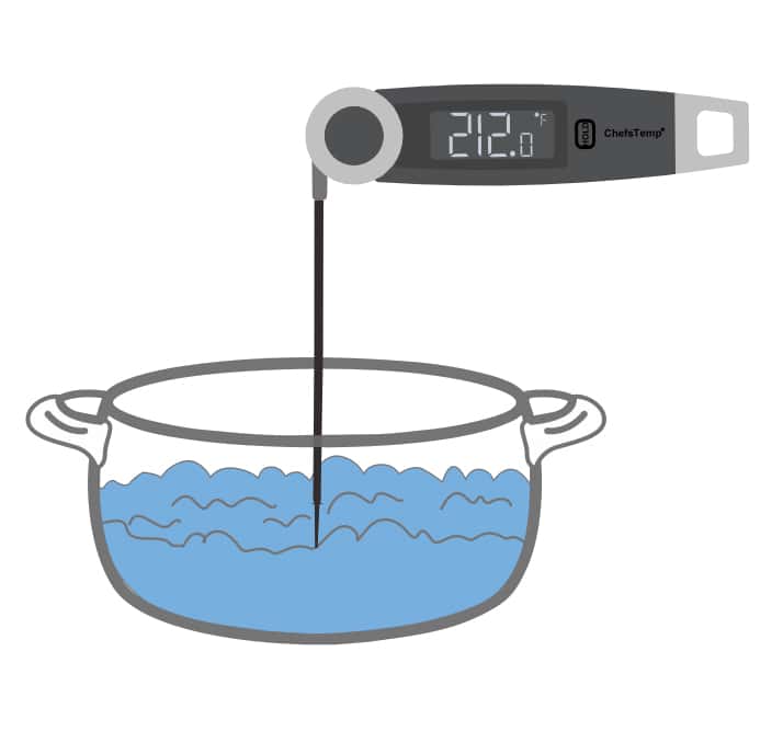 Using-a-smoker thermometer-for-accurate-assessment