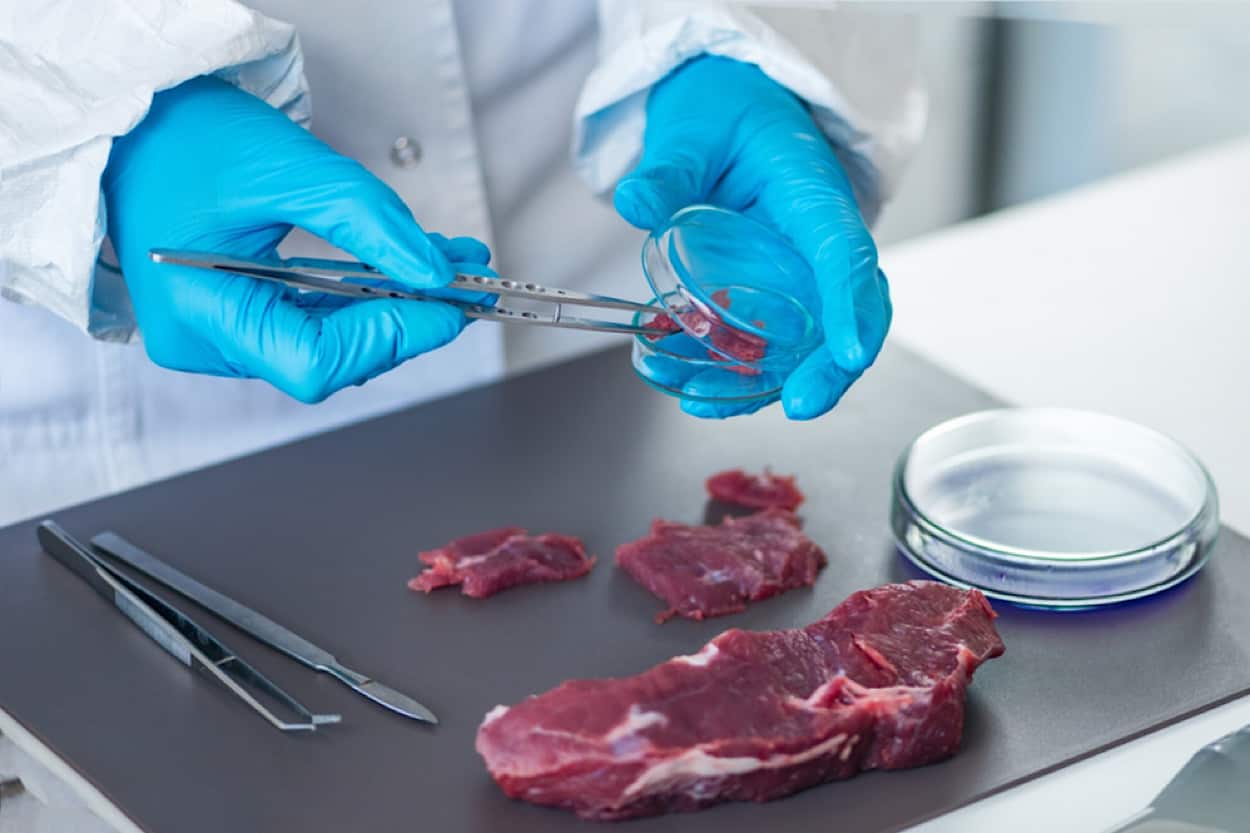 Precision kitchen thermometer testing raw meat for safe cooking temperature.