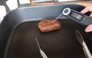 finaltouch-x10-meat-thermometer