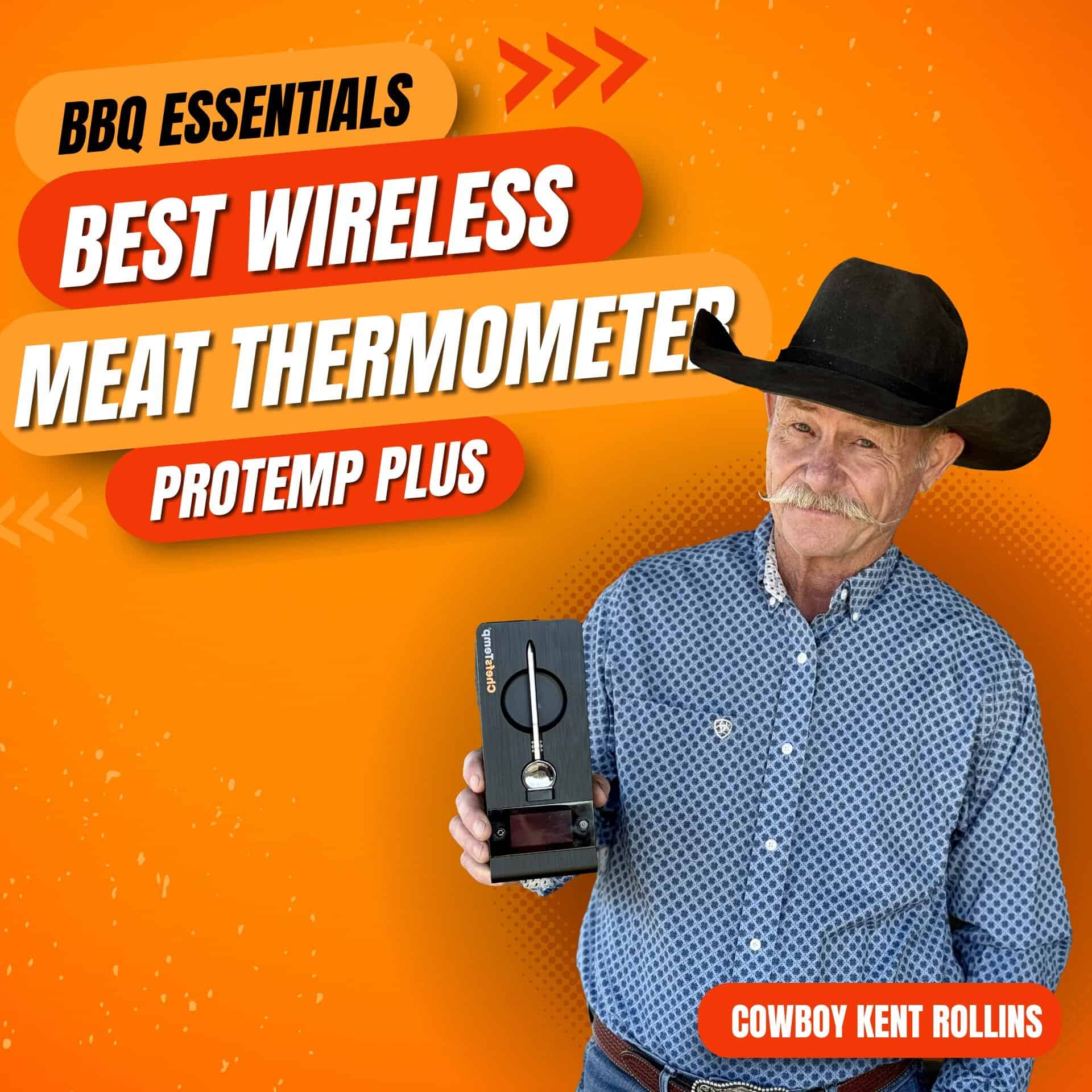 Wireless meat thermometer for BBQ and grilling, Protemp Plus model.